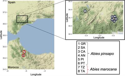 Warming appears as the main risk of non-adaptedness for western Mediterranean relict fir forests under expected climate change scenarios